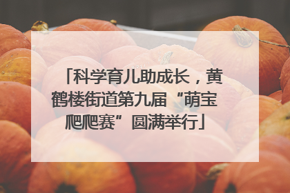 科学育儿助成长，黄鹤楼街道第九届“萌宝爬爬赛”圆满举行