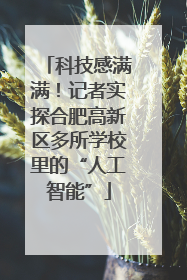 科技感满满！记者实探合肥高新区多所学校里的“人工智能”