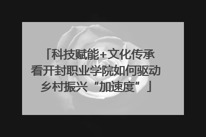 科技赋能+文化传承 看开封职业学院如何驱动乡村振兴“加速度”