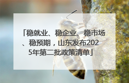 稳就业、稳企业、稳市场、稳预期，山东发布2025年第二批政策清单