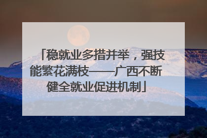 稳就业多措并举，强技能繁花满枝——广西不断健全就业促进机制