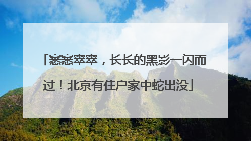 窸窸窣窣，长长的黑影一闪而过！北京有住户家中蛇出没