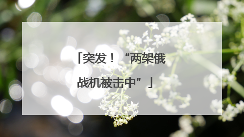 突发！“两架俄战机被击中”