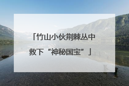竹山小伙荆棘丛中救下“神秘国宝”