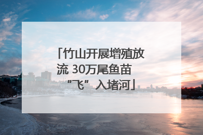 竹山开展增殖放流 30万尾鱼苗“飞”入堵河