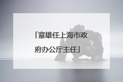 章雄任上海市政府办公厅主任
