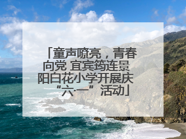 童声嘹亮，青春向党 宜宾筠连景阳白花小学开展庆“六·一”活动