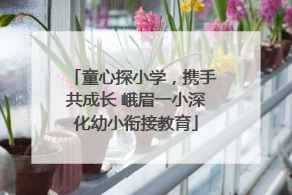 童心探小学，携手共成长 峨眉一小深化幼小衔接教育