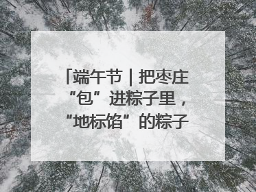 端午节｜把枣庄“包”进粽子里，“地标馅”的粽子诞生了！