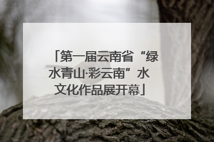 第一届云南省“绿水青山·彩云南”水文化作品展开幕