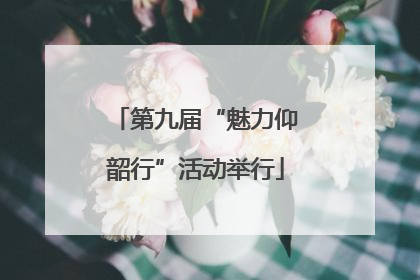 第九届“魅力仰韶行”活动举行