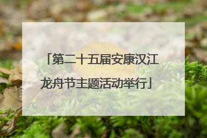 第二十五届安康汉江龙舟节主题活动举行