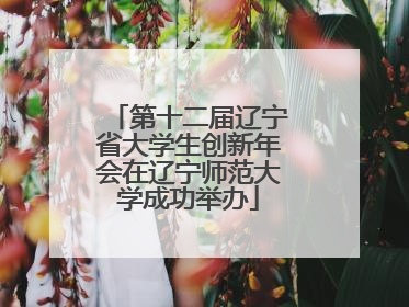 第十二届辽宁省大学生创新年会在辽宁师范大学成功举办