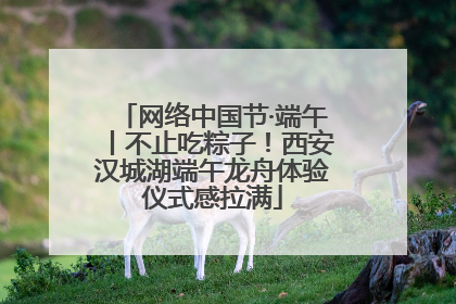 网络中国节·端午丨不止吃粽子！西安汉城湖端午龙舟体验仪式感拉满