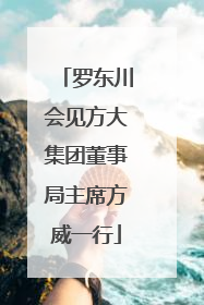 罗东川会见方大集团董事局主席方威一行