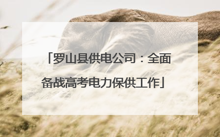 罗山县供电公司：全面备战高考电力保供工作