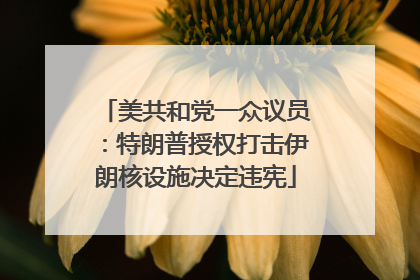 美共和党一众议员：特朗普授权打击伊朗核设施决定违宪
