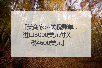 美商家晒关税账单：进口3000美元付关税4600美元
