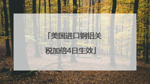 美国进口钢铝关税加倍4日生效