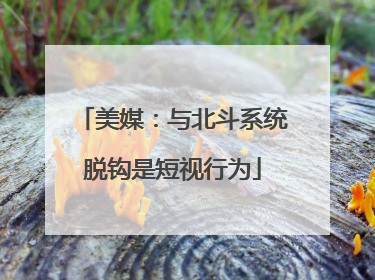 美媒：与北斗系统脱钩是短视行为