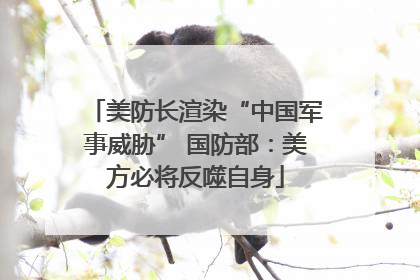 美防长渲染“中国军事威胁” 国防部：美方必将反噬自身