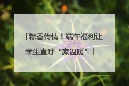 粽香传情！端午福利让学生直呼“家温暖”