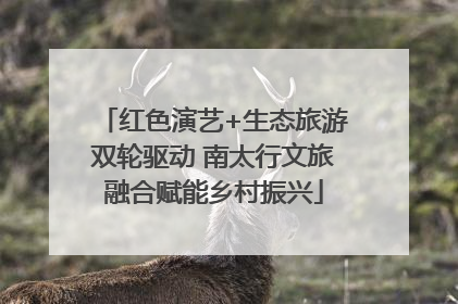红色演艺+生态旅游双轮驱动 南太行文旅融合赋能乡村振兴