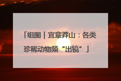 组图｜宜章莽山：各类珍稀动物频“出镜”