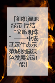 细织湿地绿带 厚结“文旅明珠”——中法武汉生态示范城挖掘绿色发展新动能