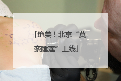 绝美！北京“莫奈睡莲”上线