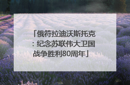 俄符拉迪沃斯托克：纪念苏联伟大卫国战争胜利80周年