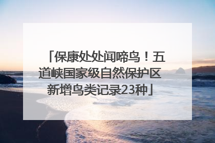 保康处处闻啼鸟！五道峡国家级自然保护区新增鸟类记录23种
