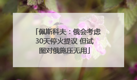 佩斯科夫：俄会考虑30天停火提议 但试图对俄施压无用