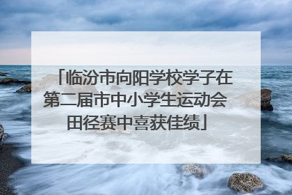 临汾市向阳学校学子在第二届市中小学生运动会田径赛中喜获佳绩
