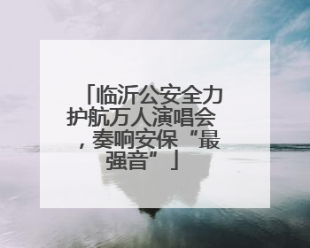 临沂公安全力护航万人演唱会，奏响安保“最强音”