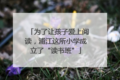 为了让孩子爱上阅读，浦江这所小学成立了“读书班”