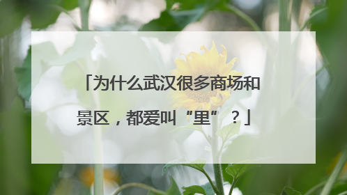 为什么武汉很多商场和景区，都爱叫“里”？