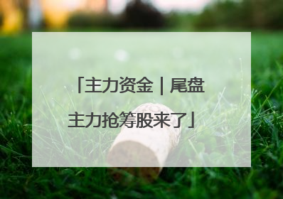 主力资金｜尾盘主力抢筹股来了
