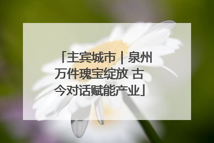 主宾城市｜泉州万件瑰宝绽放 古今对话赋能产业