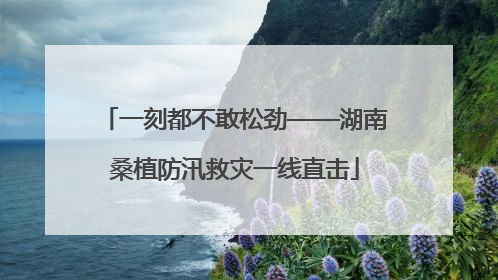 一刻都不敢松劲——湖南桑植防汛救灾一线直击