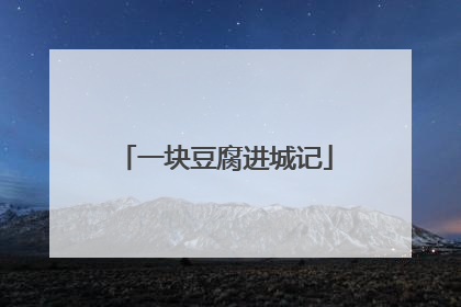 一块豆腐进城记