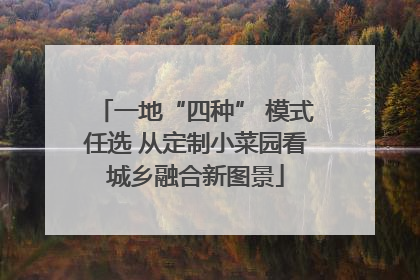 一地“四种” 模式任选 从定制小菜园看城乡融合新图景