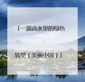 一滴卤水里的绿色转型（美丽中国）