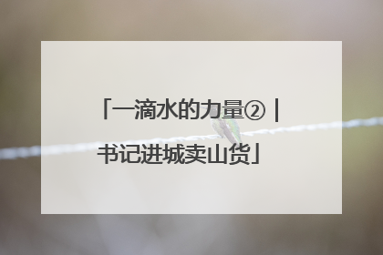一滴水的力量②｜书记进城卖山货