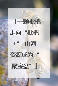 一颗枇杷走向“枇杷+” 山海资源成为“聚宝盆”