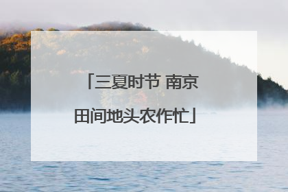 三夏时节 南京田间地头农作忙