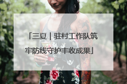 三夏｜驻村工作队筑牢防线守护丰收成果