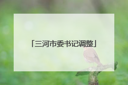 三河市委书记调整