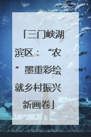 三门峡湖滨区：“农”墨重彩绘就乡村振兴新画卷