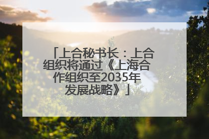 上合秘书长：上合组织将通过《上海合作组织至2035年发展战略》